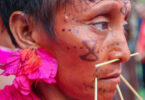 Crise Yanomami sala de situação
