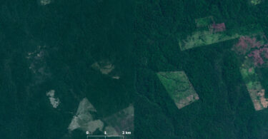 Terra Apyterewa desmatamento