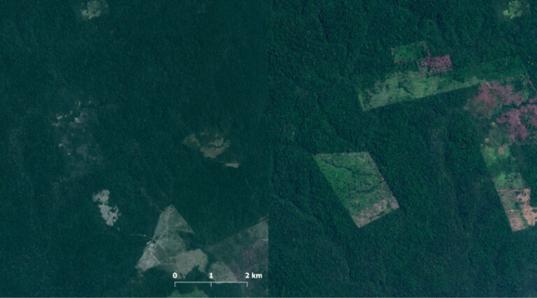 Terra Apyterewa desmatamento