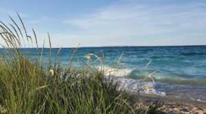 ecossistemas costeiros