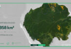 garimpo ilegal desmatamento Amazônia