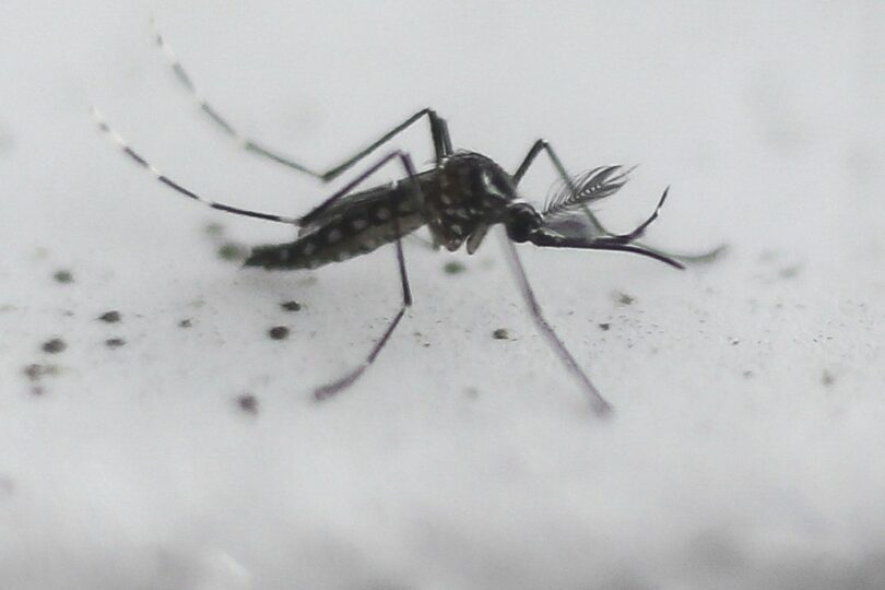 malária na África