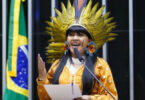 Comissão Amazônia e Povos Originários