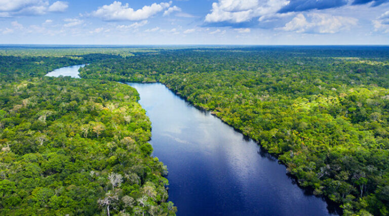 Comissão Meio Ambiente CMADS
