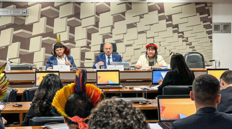 Joenia Wapichana comissão Senado
