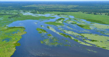 Pantanal drenagem