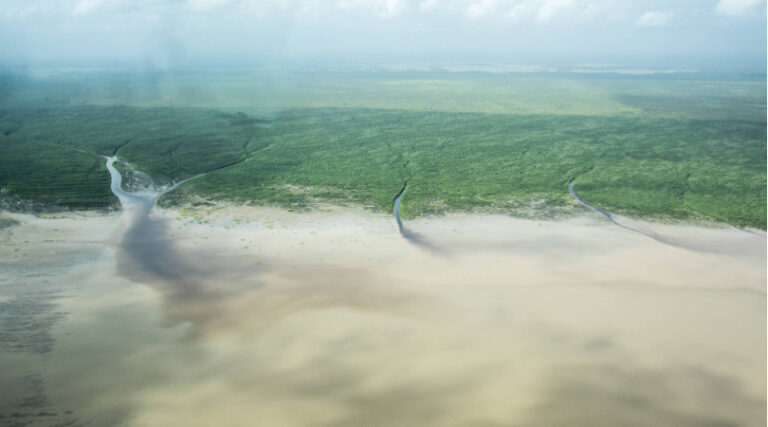 Petrobras Foz do Amazônas