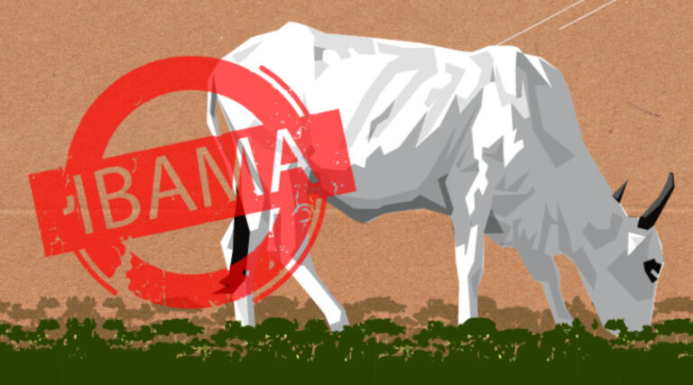 agro China Ibama