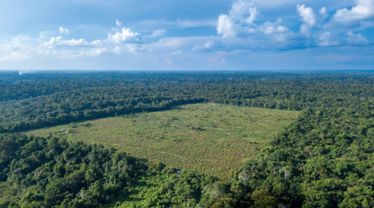 desmatamento Amazônia