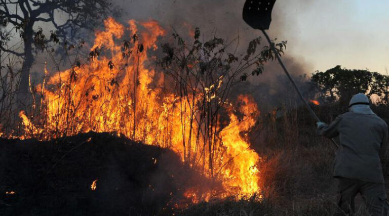 incêndios florestais