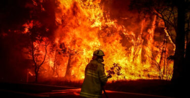 incêndios florestais Austrália