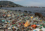 plásticos nos oceanos