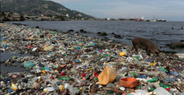 plásticos nos oceanos