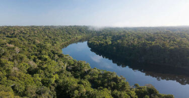 Amazônia desmatamento zero