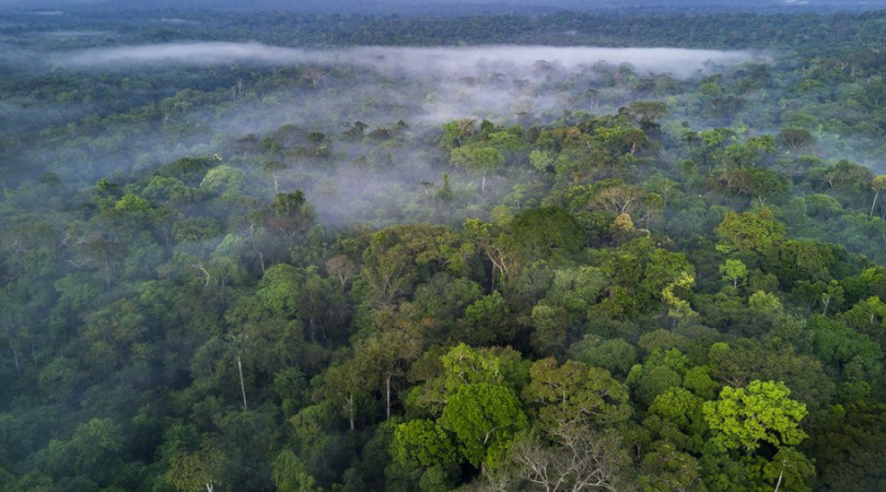 Amazônia inteligência artificial