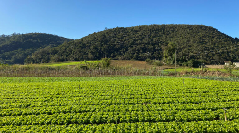Cadastro Ambiental Rural