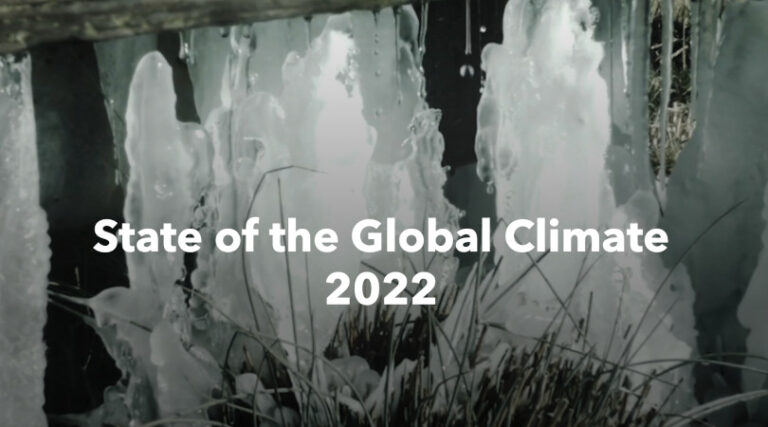 Estado Global do Clima 2022