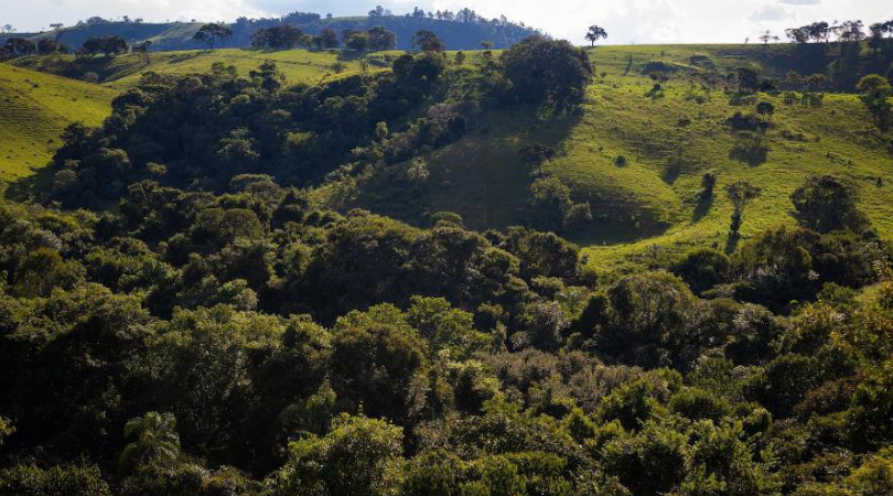 Regras sobre Nature