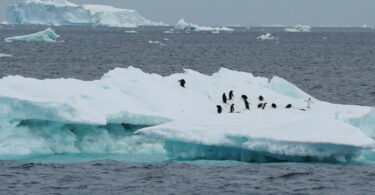 derretimento geleiras antártica