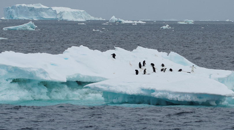 derretimento geleiras antártica
