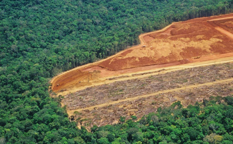 governo Bolsonaro desmatamento Amazônia