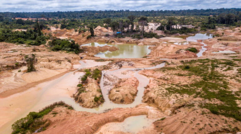 ABIN garimpo ilegal Terras Indígenas