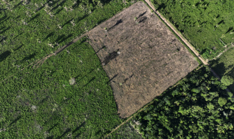 Brasil nova NDC 2023