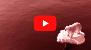 Google YouTube fake news clima