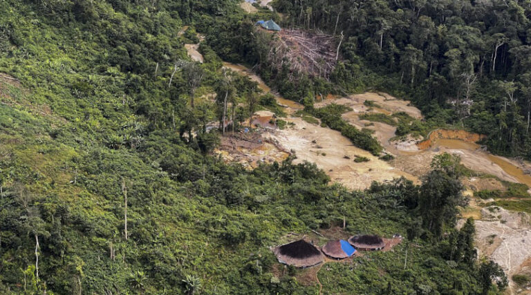 crise Yanomami