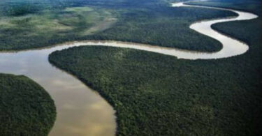 desmatamento Amazônia custo