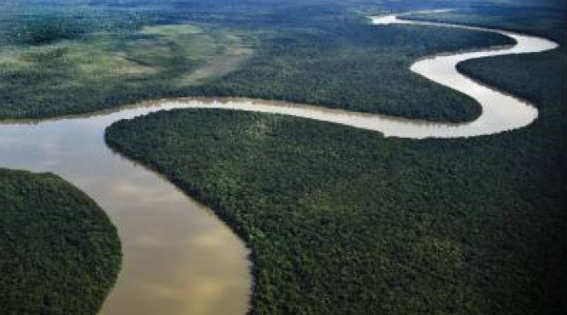 desmatamento Amazônia custo