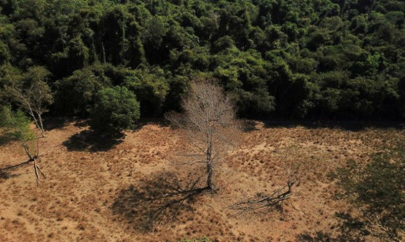 emissões do desmatamento Terras Indígenas