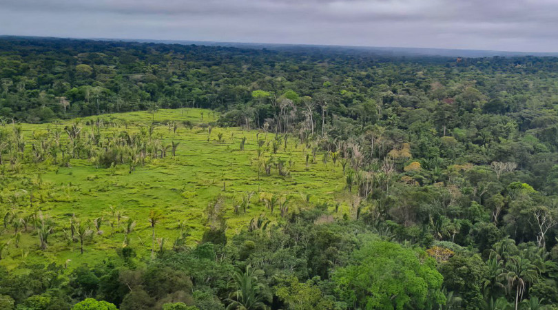 Brasil lidera desmatamento