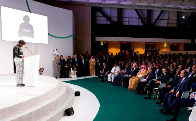 Cúpula de Paris ativismo jovem