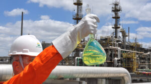 Petrobras diesel renovável