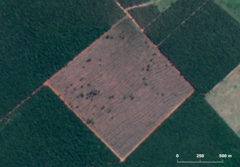 desmatamento Amazônia cai 2023