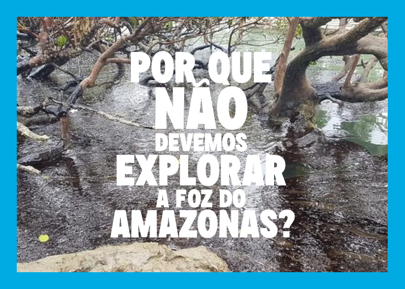 O que acontece na Amazônia, não fica - Greenpeace Brasil