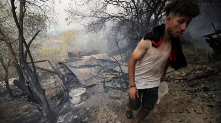 Algeria incêndios florestais