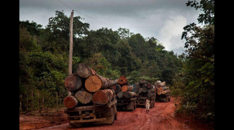 Amazônia crime organizado