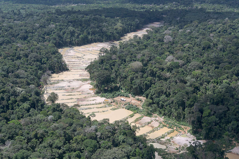 Amazônia crime