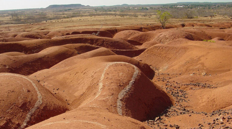 Caatinga