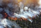 Canadá fumaça incêndios florestais