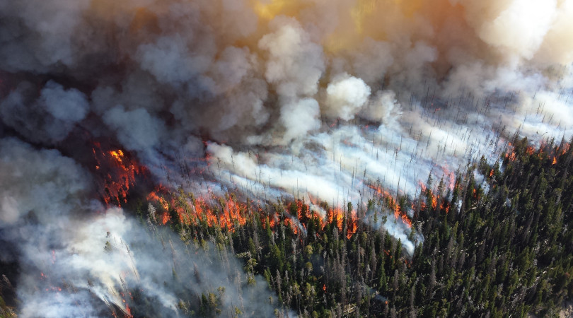 Canadá fumaça incêndios florestais