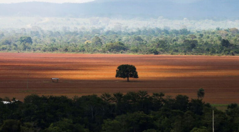 Cerrado desmatamento recorde