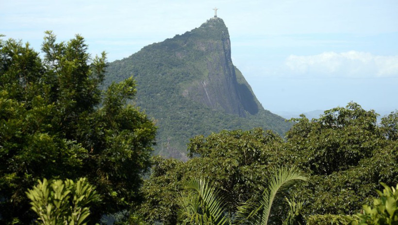 Dia do Protetor da Floresta