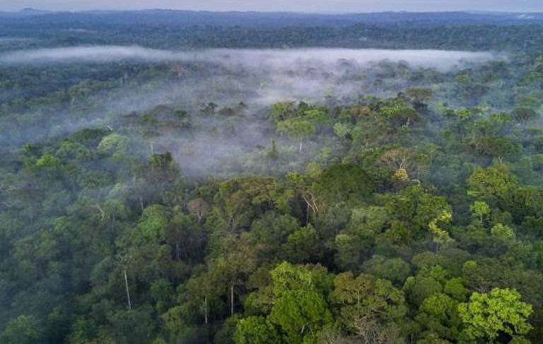 El Niño 2023 Amazônia