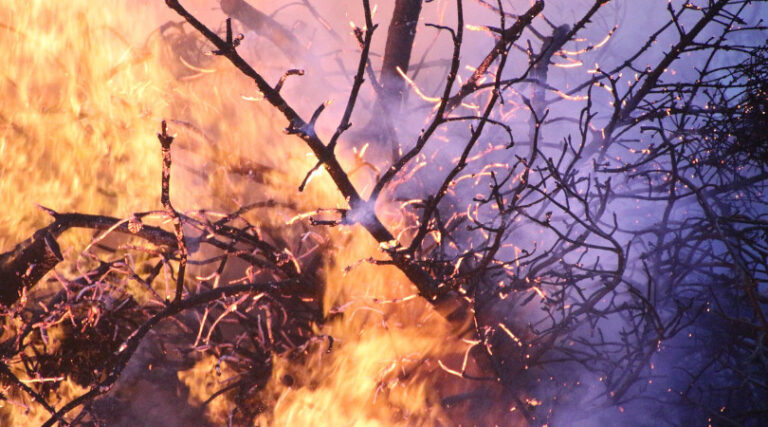 Grécia incêndios florestais controlados