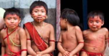 crise Yanomami
