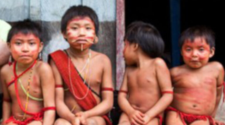 crise Yanomami