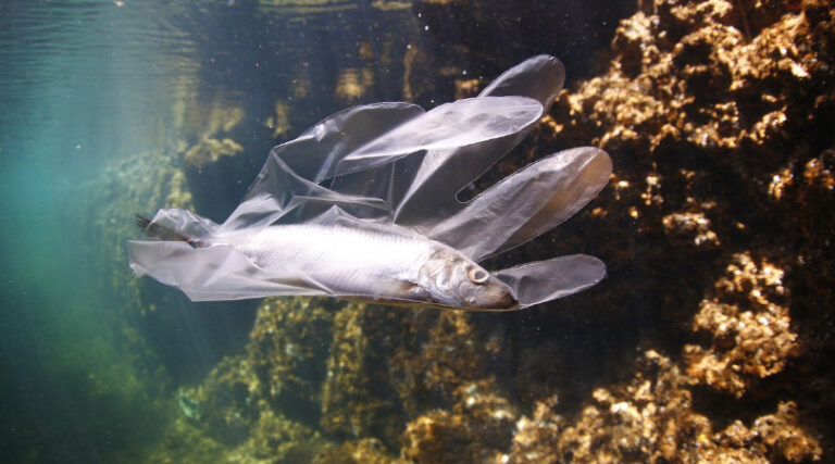 poluição plástica oceano